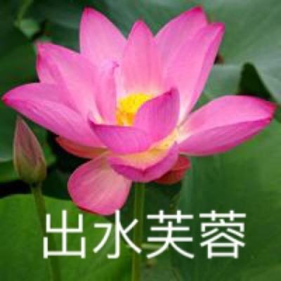 找出替代者手机版下载