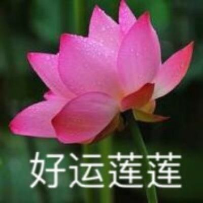 仙灵道游戏下载